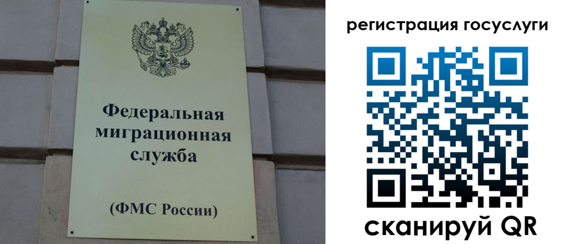 временная регистрация поиск в Архангельской области